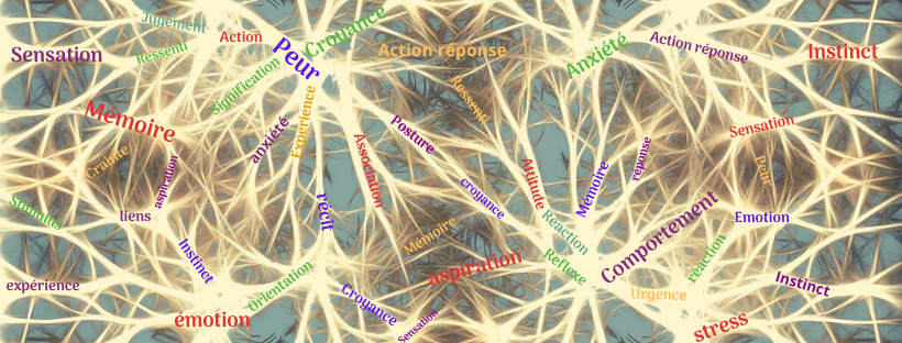 GESTION DES EMOTIONS  : 2 exercices très simples pour apprivoiser nos émotions